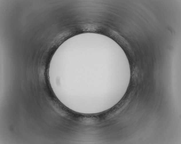 X0000112860209200910021318