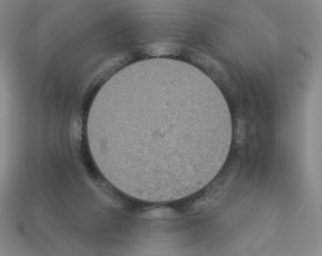 X0000112860210200910021318
