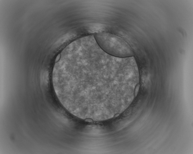 X0000112860211200910021318