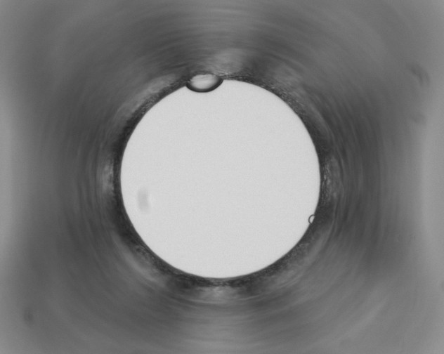 X0000112860212200910021318