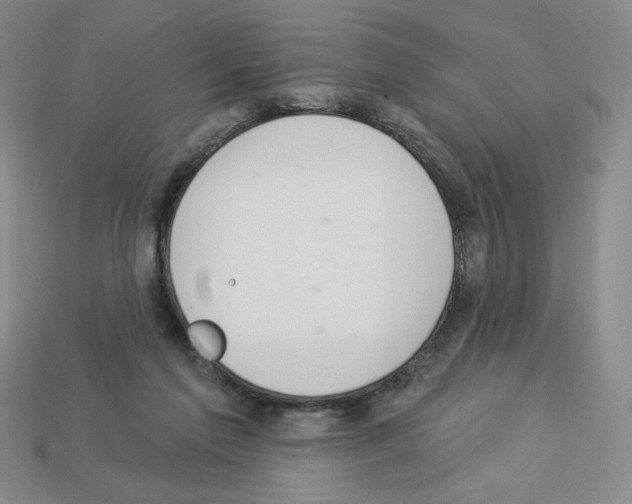 X0000112860213200910021318