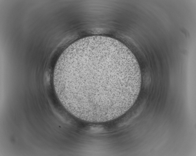 X0000112860214200910021318