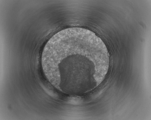 X0000112860215200910021318