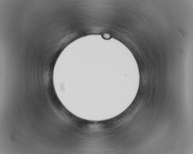 X0000112860216200910021318