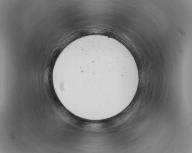 X0000112860217200910021318