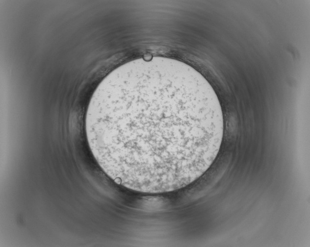X0000112860218200910021318