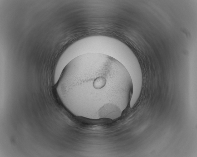 X0000112860219200910021318