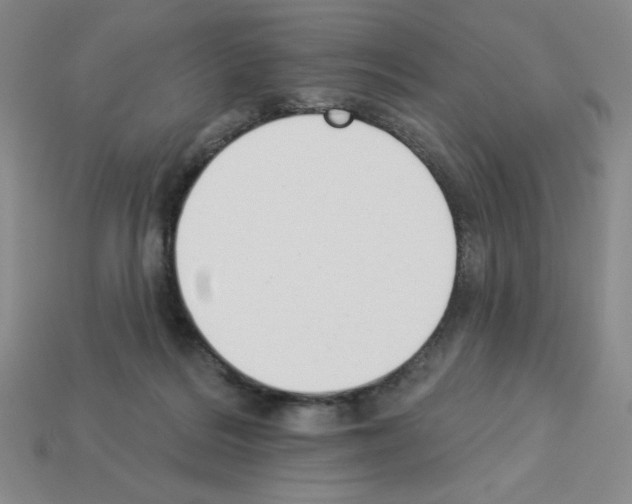 X0000112860220200910021318