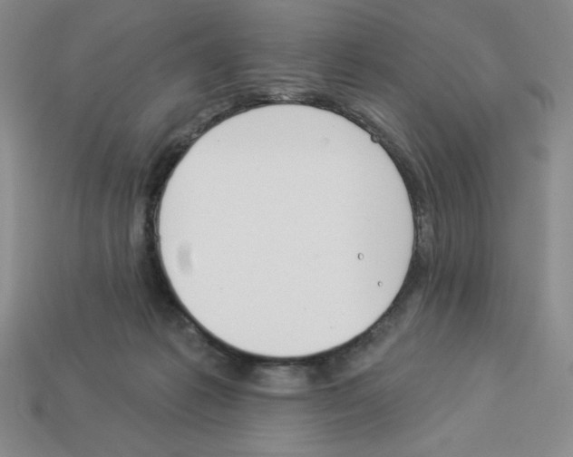 X0000112860221200910021318