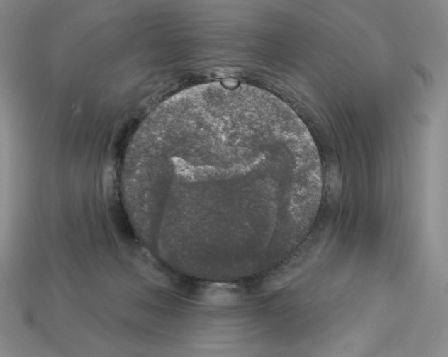 X0000112860222200910021318