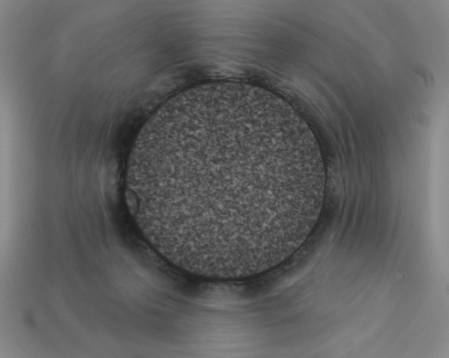 X0000112860223200910021318