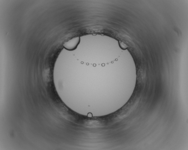X0000112860224200910021318