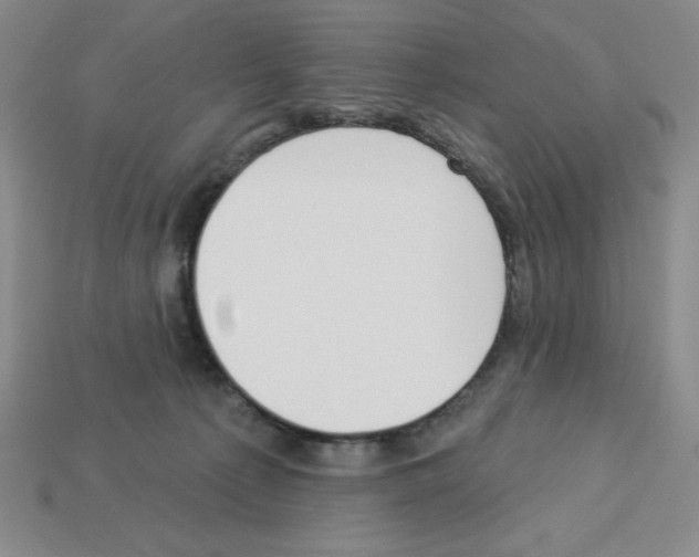 X0000112860225200910021318