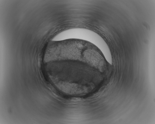X0000112860227200910021318