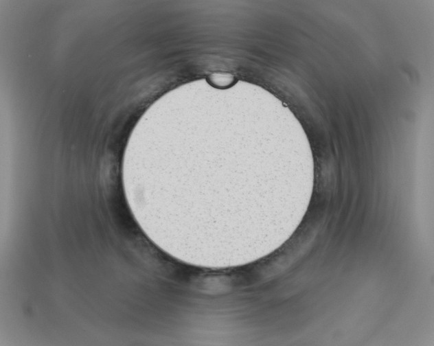 X0000112860228200910021318