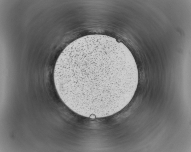 X0000112860229200910021318