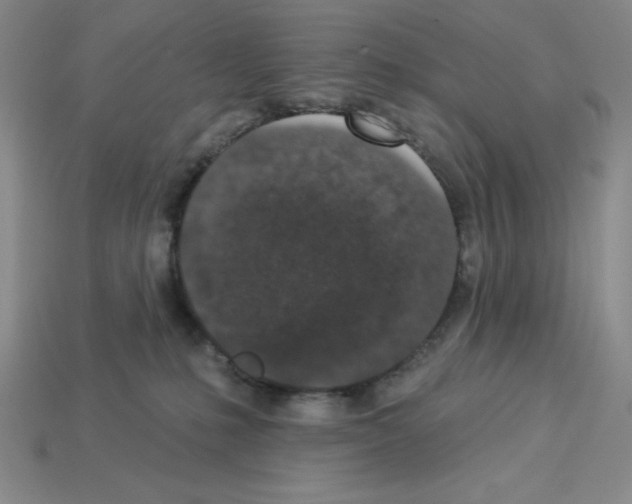 X0000112860231200910021318