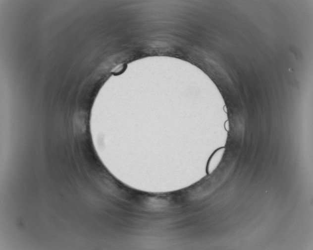 X0000112860232200910021318