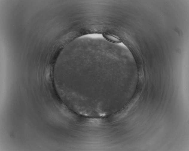 X0000112860233200910021318
