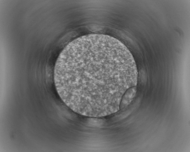 X0000112860234200910021318