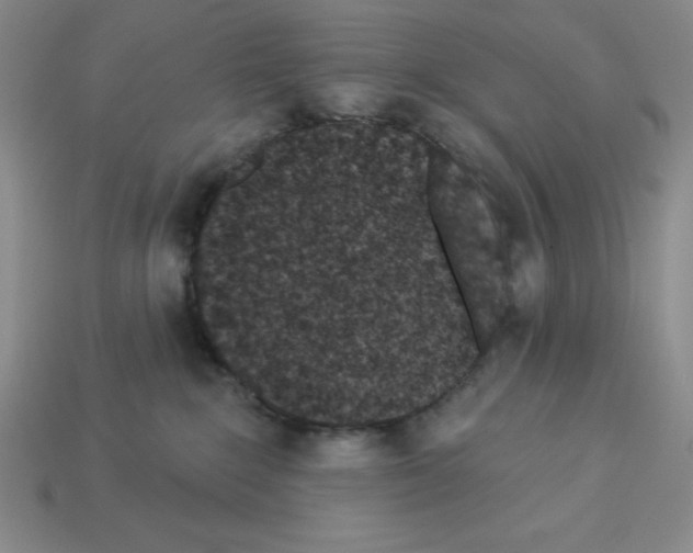 X0000112860235200910021318