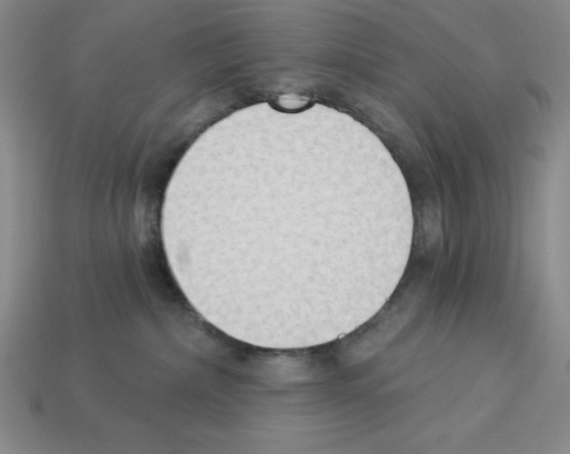 X0000112860236200910021318