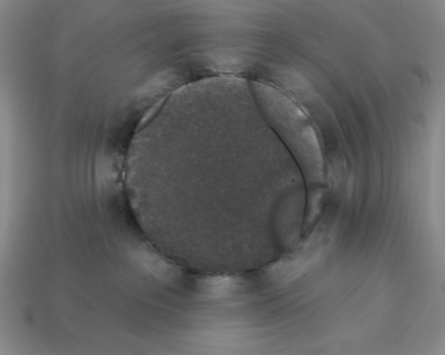 X0000112860237200910021318