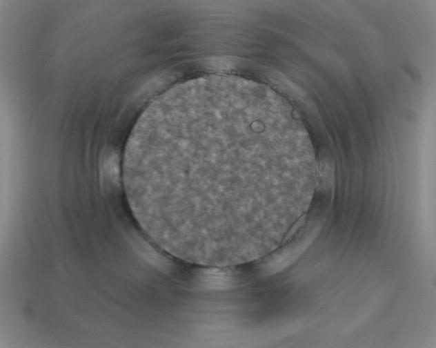 X0000112860238200910021318