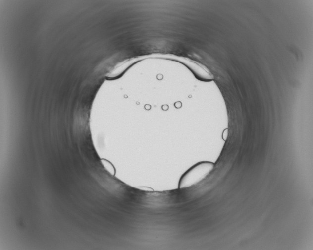 X0000112860240200910021318