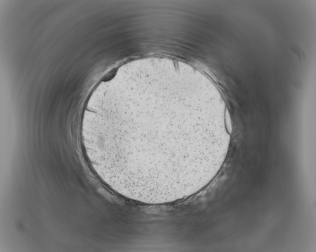 X0000112860241200910021317