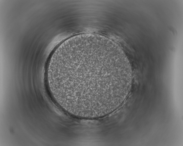 X0000112860242200910021317