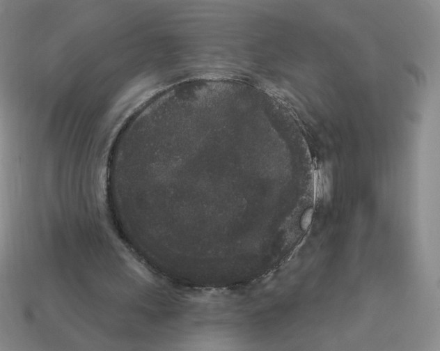 X0000112860243200910021317