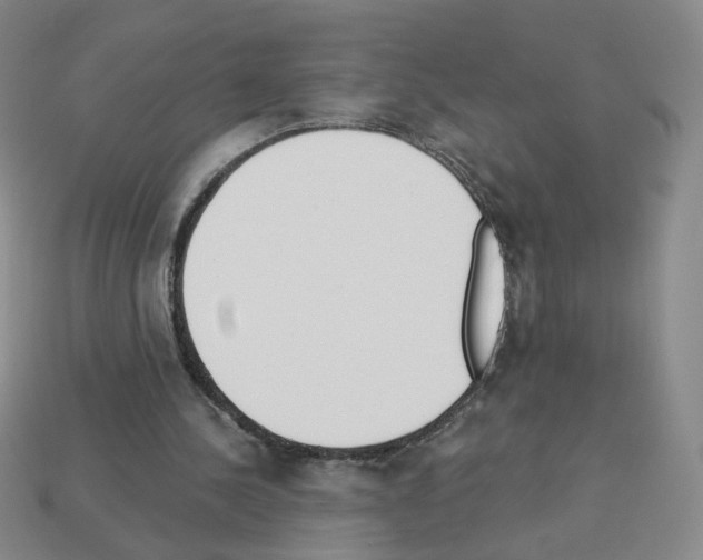 X0000112860244200910021318