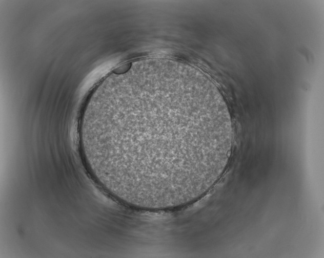 X0000112860245200910021318
