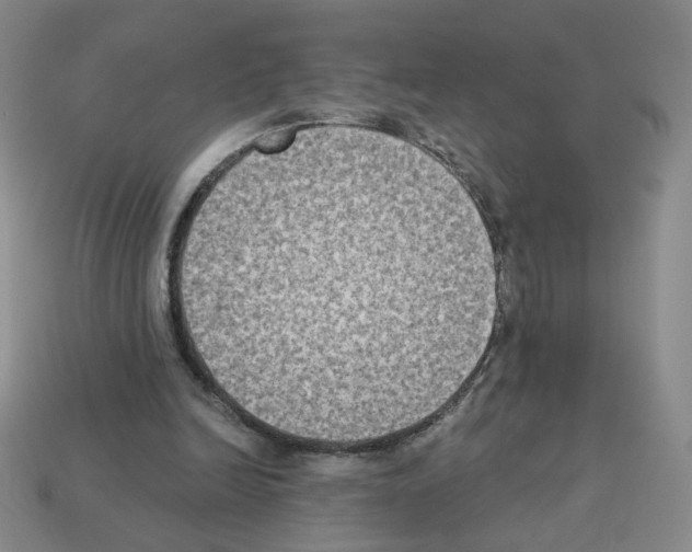 X0000112860246200910021318