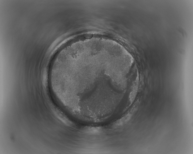 X0000112860247200910021318