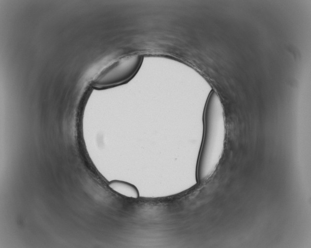X0000112860248200910021318