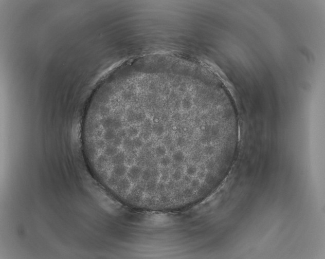 X0000112860249200910021318