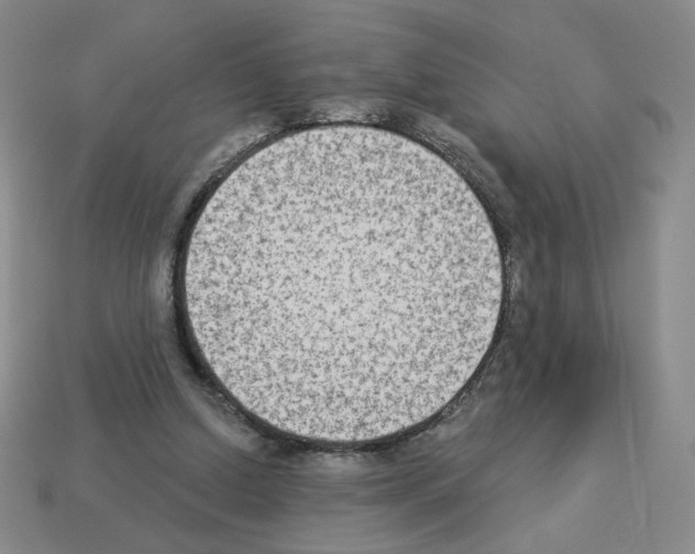 X0000112860250200910021318