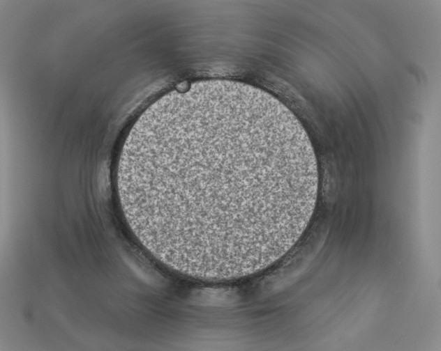 X0000112860251200910021318