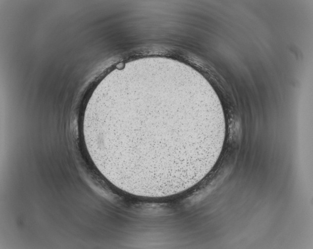 X0000112860254200910021318