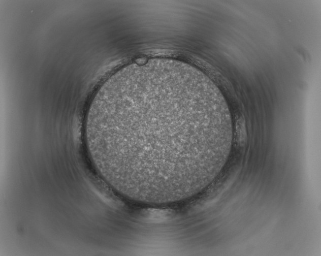 X0000112860255200910021318