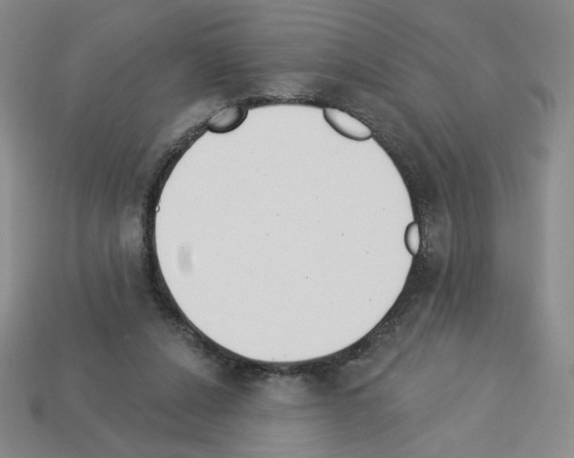 X0000112860256200910021318