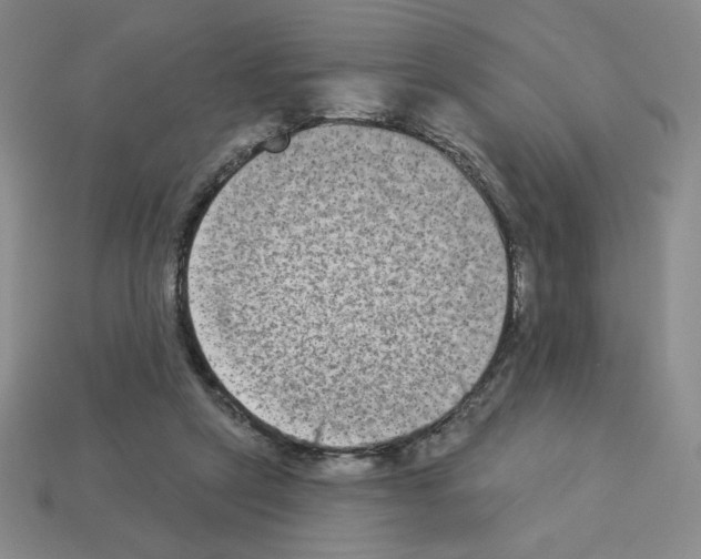 X0000112860257200910021318