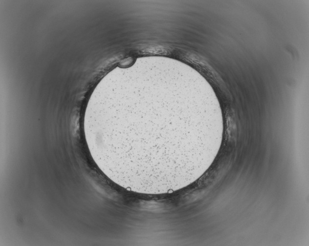 X0000112860259200910021318