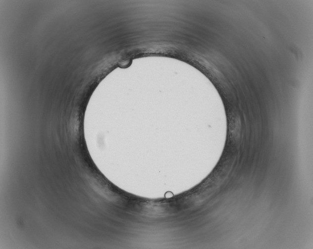 X0000112860261200910021318