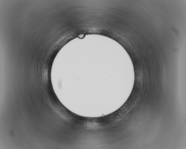 X0000112860262200910021318
