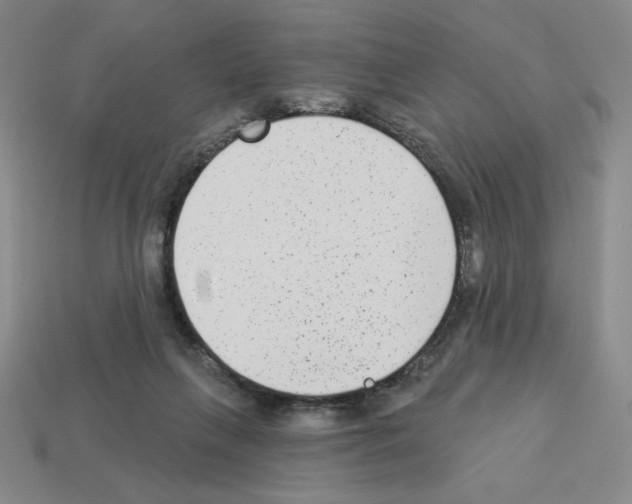 X0000112860263200910021318