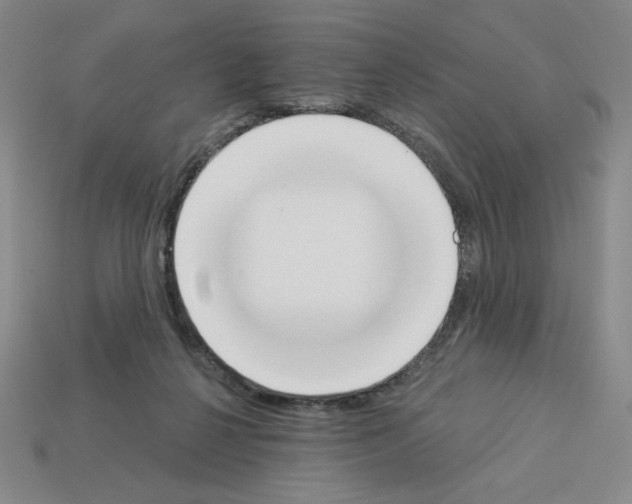 X0000112860264200910021318