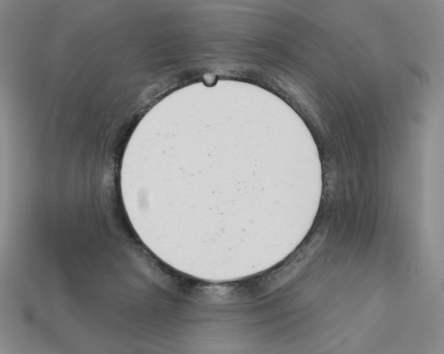 X0000112860265200910021318